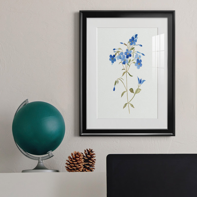 «Blue Blossom Botanical II» - peinture encadrée, Noir, H 18,5 po x l 24,5 po x P 1,5 po