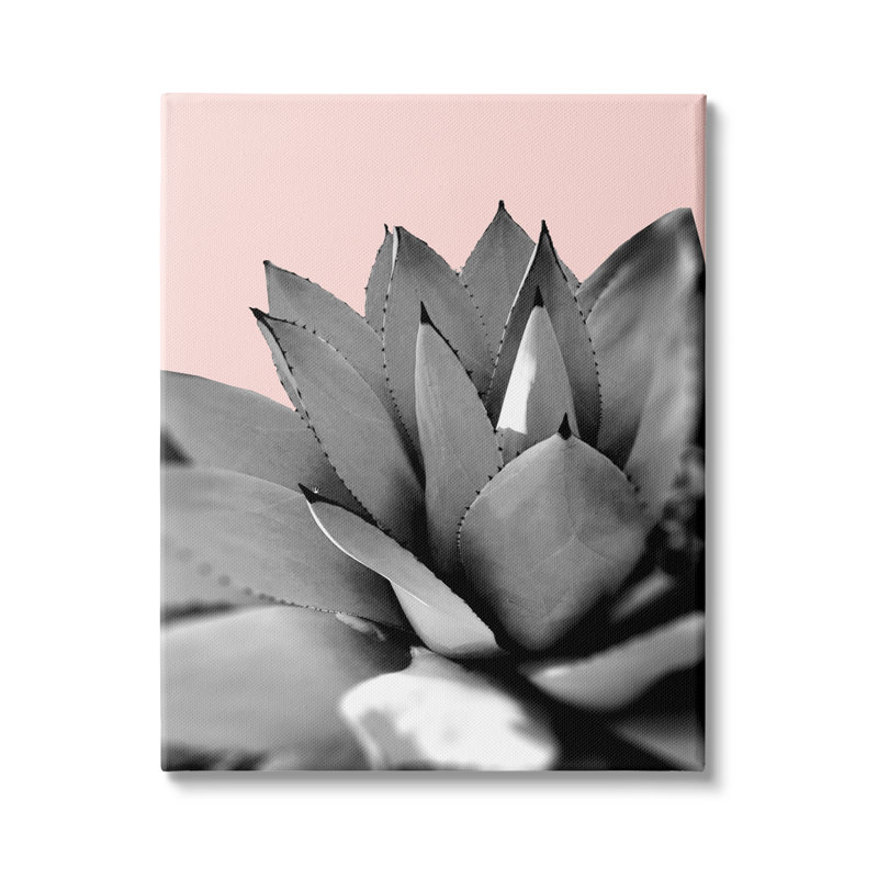 Unframed Photograph on MDF, Wrapped Canvas, 40" H x 30" W x 1.5" D