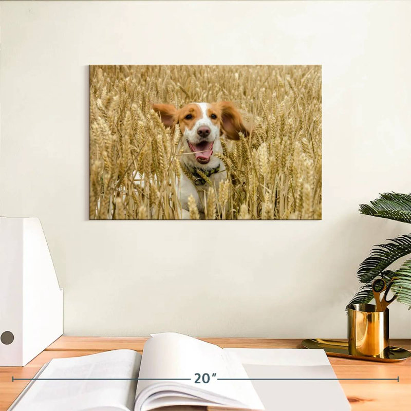 Happy Cocker Spaniel, 8" H x 12" W