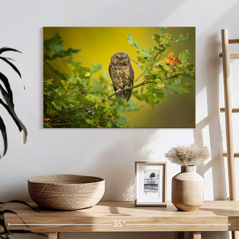 Hibou perché sur un arbre, H 8 po x l 12 po