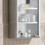 Armoire à pharmacie murale, armoire murale verrouillable avec 4 tablettes à niveaux, cadre en acier inoxydable et porte en verre, verrouillable avec 2 clés 0