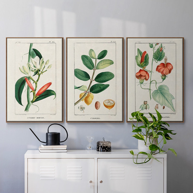 Turpin Tropical Botanicals IV, ensemble de 3 toiles encadrées, H 40 po x l 78 po, Noyer