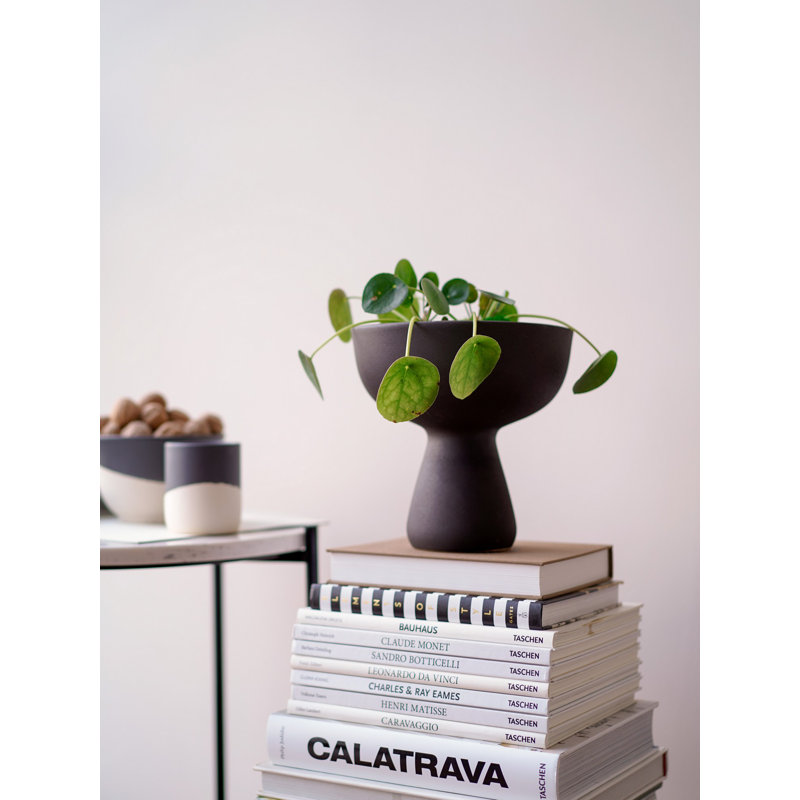Elegant Anthracite Ceramic Vase, 8.7 x 8.7 x 8.7 Inches | 100% Durable Ceramic Material | Perfect for Home Décor & Floral Arrangements | Stylish Accent for Living Room, Office, or Entryway