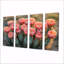 Cactus en pleine floraison à l'aube I - Art mural floral cactus - ensemble d'art mural traditionnel-770455982-770456017