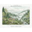 Misty Green Forest Wallpaper Mural, Peel and Stick Kids Room Wall Mural, Watercolor Nursery Wallpaper Made to Measure-970803227