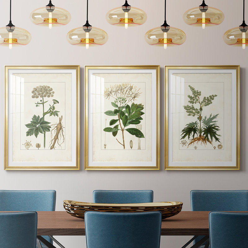 Antique Turpin Botanical I - reproduction sur mesure encadrée de qualité supérieure - 3 pièces, H 21 po x l 30 po, Doré
