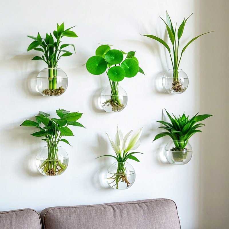 Ensemble de 6 pots à fleurs ronds à suspendre au mur, vases station de propagation avec cintres, terrarium ou pots à fleurs hydroponiques pour la décoration intérieure