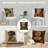 Cat With Piano Cushion Covers-120132314-120132318