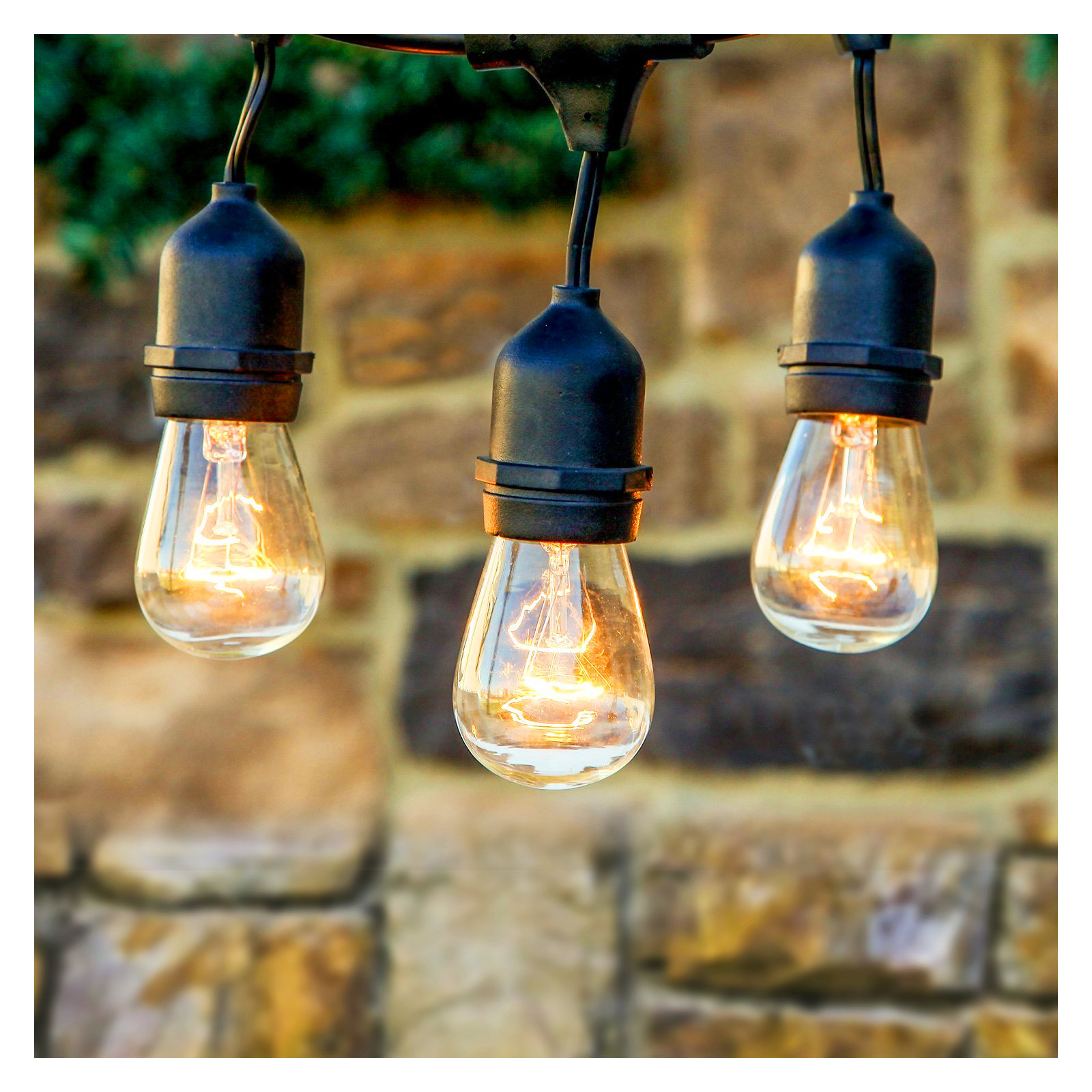 Ambience Pro Indoor/Outdoor Hanging Incandescent 11-Watt S14 Bulb String Lights, Black, 24 ft