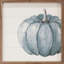 Offset bleu citrouille blanc-2086716893