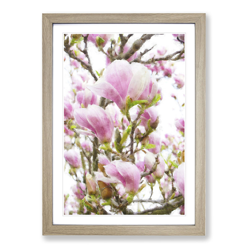 Pink Magnolia Blossom Flowers - Framed Print, 36cm H x 27cm W x 2cm D, Oak Framed