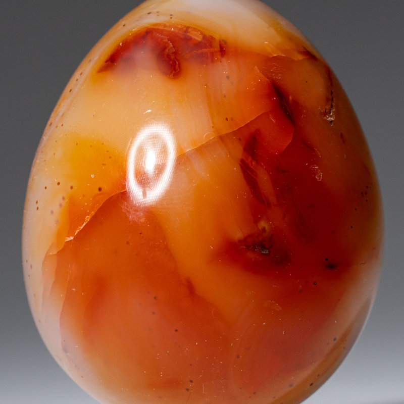 Véritable agate de cornaline (petit) œuf de Madagascar