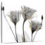 Gentians ornés Harnek-109210070