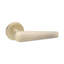 Aero Lever On Rose Matt Antique
