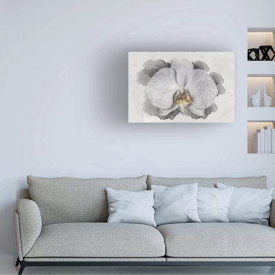 Modern & Contemporary Painting Print