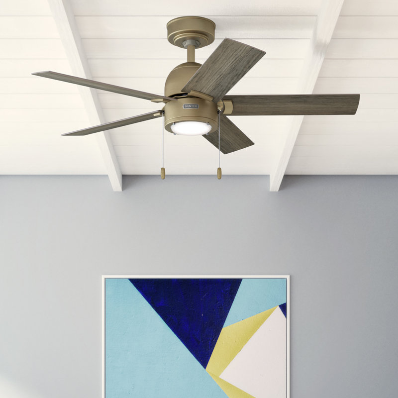 Ventilateur de plafond à 5 pales de 44 po avec ensemble de lumières DEL et chaînette Erling, Bronze brillant
