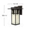 Manhattan 1-Light Outdoor Wall Lantern-14887176