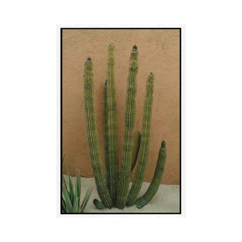 Cabo Cactus XI by Bethany Young - Print on Canvas, 152.4cm H x 101.6cm W x 3.81cm D, White Framed