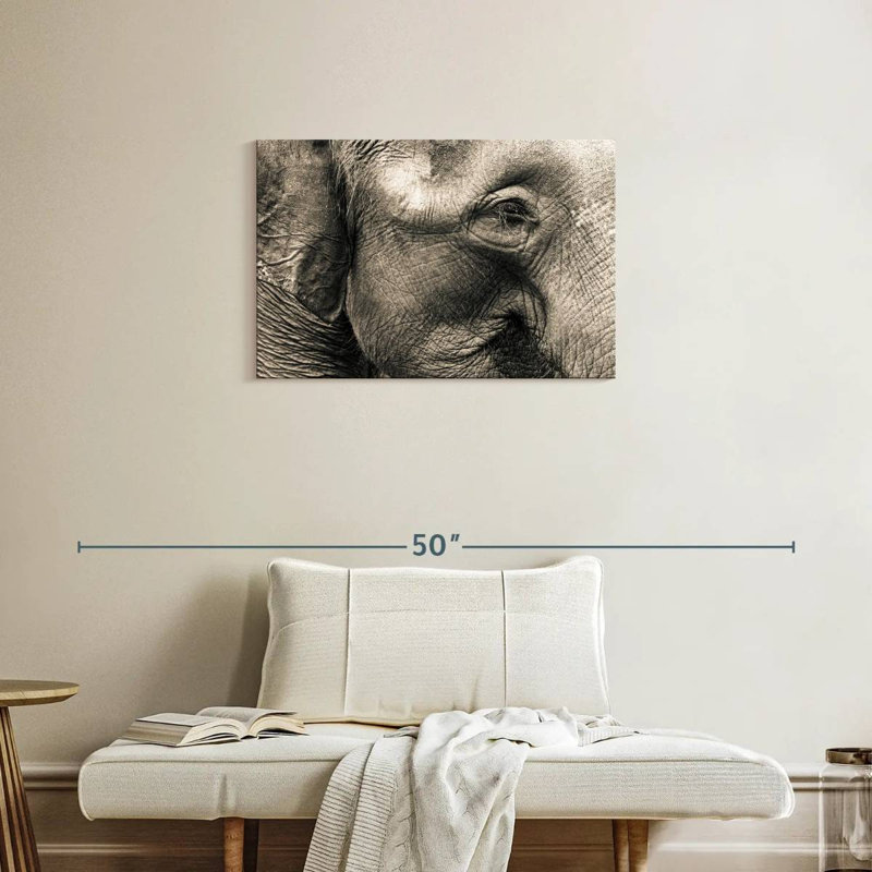 Brampt Wrinkled Elephant Face, 20" H x 30" W