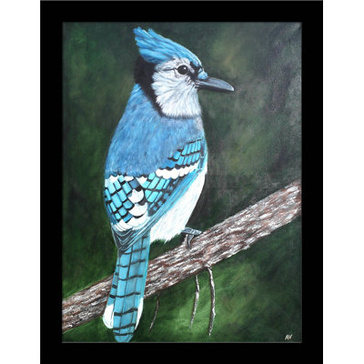 " Blue Jay " by Amy Valiante