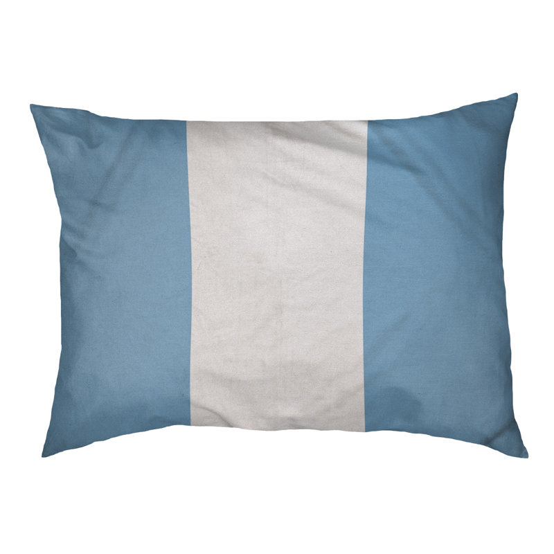 Coussin d'extérieur pour chien Florida Tribe, Grand (l 40 po x P 30 po x H 6,5 po), Bleu bébé / blanc / bleu bébé