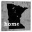 Minnesota by Luke Wilson - No Frame Print on Canvas-49993183