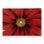 Red Daisy Floral Outdoor Area Rug for Home Decor | Stylish Design