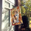 Chat en feuilles d'automne-112700539