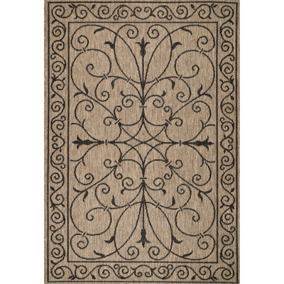 Concetta Indoor / Outdoor Rug
