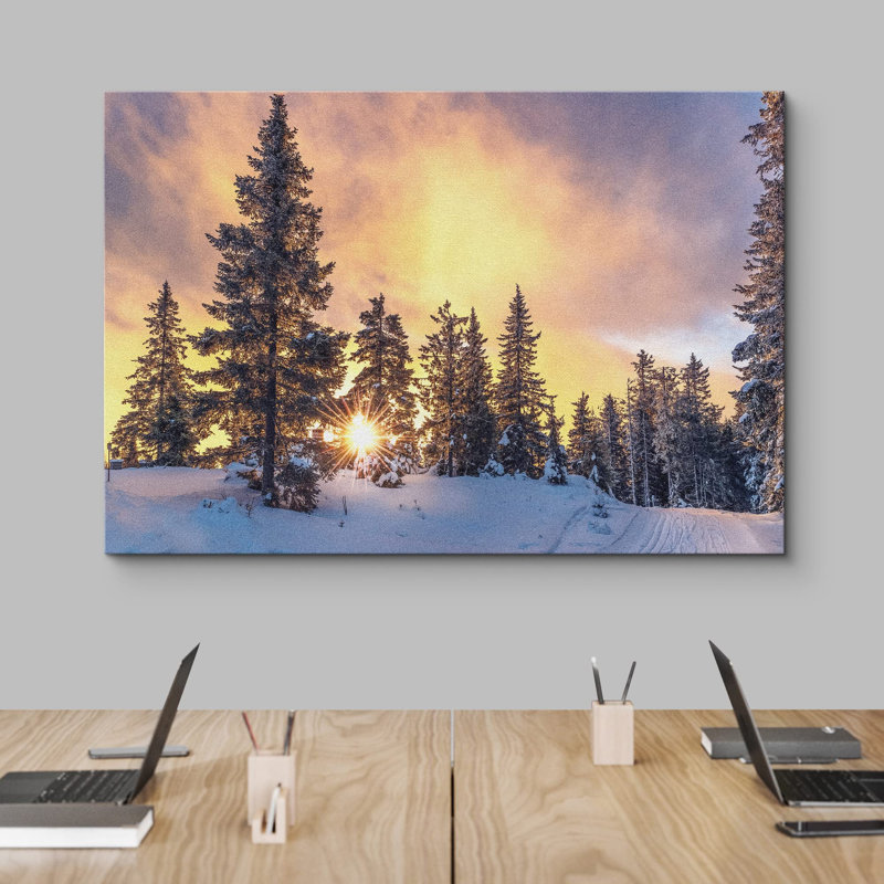 Coucher de soleil, hiver, pin, neige, forêt, nature, photographie, paysage sauvage, paysage, décor, Toile tendue