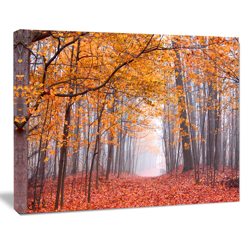 «Beautiful Trees with Fallen Leaves», reproduction de photo sur toile tendue, H 20 po x l 20 po x P 1 po