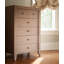 Milk Street Emerson 5 Drawer Chest (Steam)-682124159