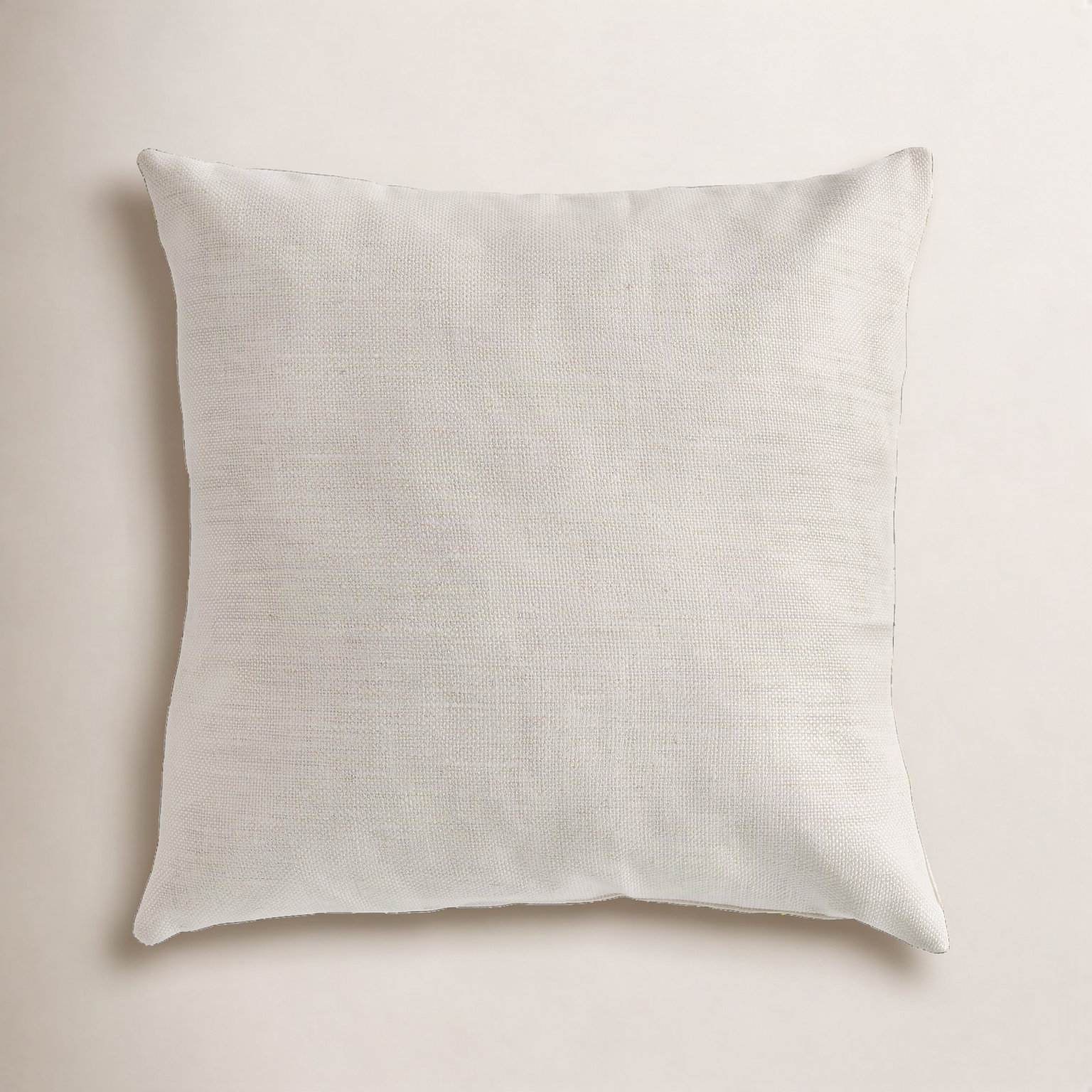 Sylvie 24" x 24" Throw Pillow, Light Gray