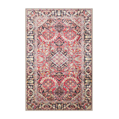 Southwestern Indoor Rug