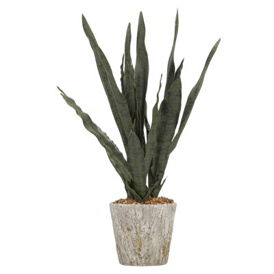 Faux Mother In Law's Tongue Plant in Cement Planter