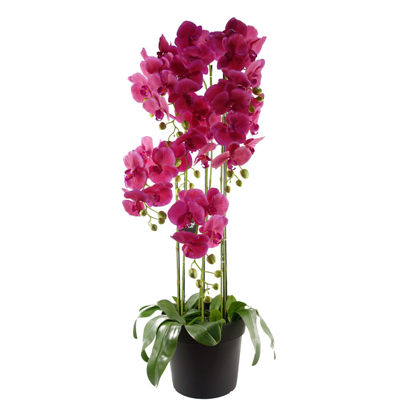 Real Touch Artificial Orchids Plastic, Silk Artificial Arrangement in Planter, 150cm H x 70cm W x 70cm D, Pink