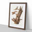 Flying Squirrels by J.W. Audubon - Framed Print-55576124-55576125