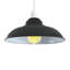 Eutropios 27cm H Metal Bowl Lamp Shade ( Screw On )-2134407972