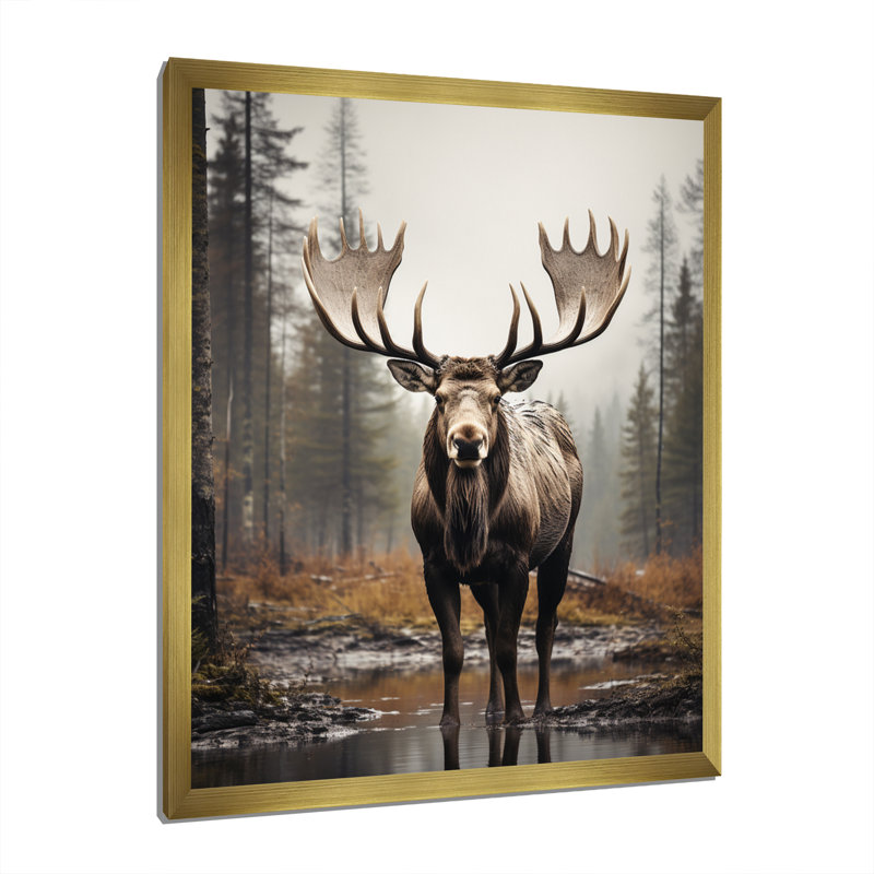 «Aydrianna Brown Moose», impression monochrome sur toile, H 32 po x l 24 po x P 1 po, Encadrement doré