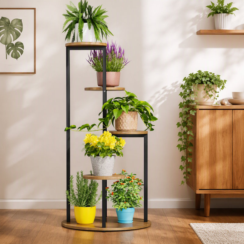 Présentoir botanique d'intérieur à quatre niveaux