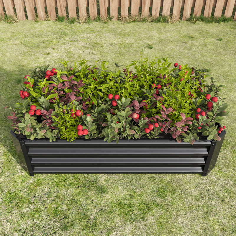 Lit de jardin surélevé rectangulaire pour plantes, légumes et herbes