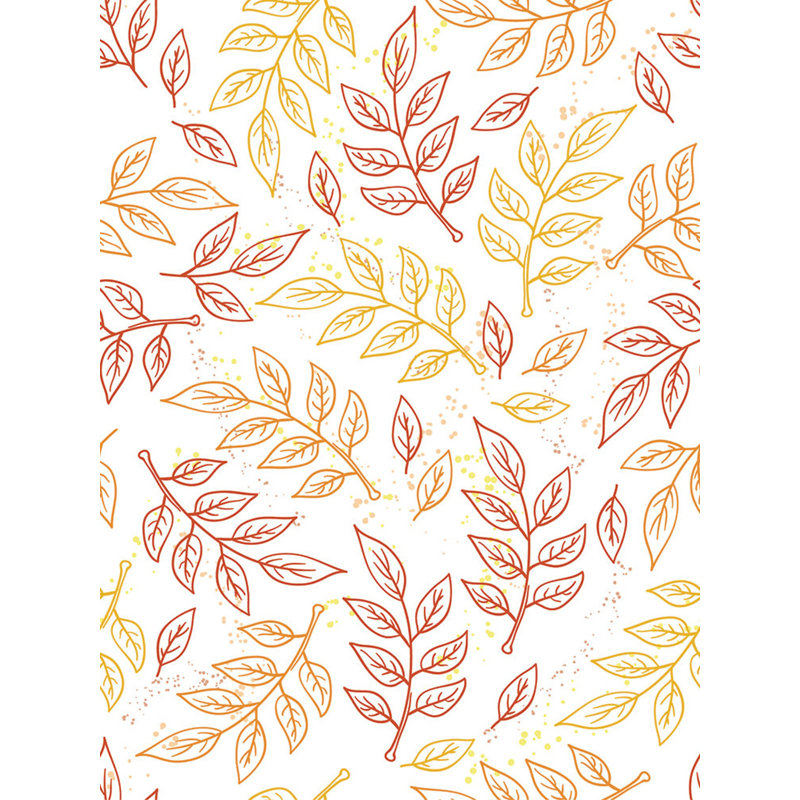 Minehead Matte Wall Mural, 520cm W x 300cm L