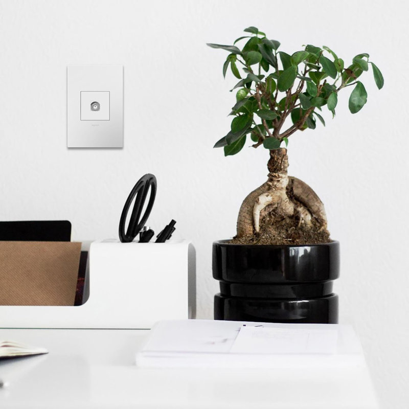 Cadre Adorne blanc Keystone, 1 port, Blanc