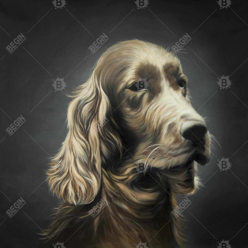 " Field Spaniel "