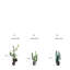 Faux cactus 25,6 po