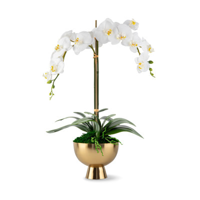 Orchidée Monet RealTouch en piédestal doré