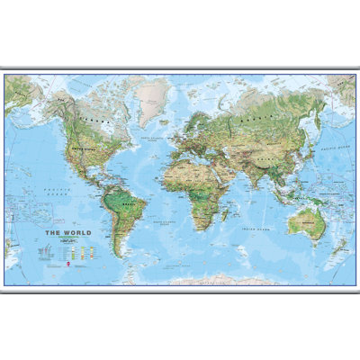 Large World Wall Map Environmental - Print