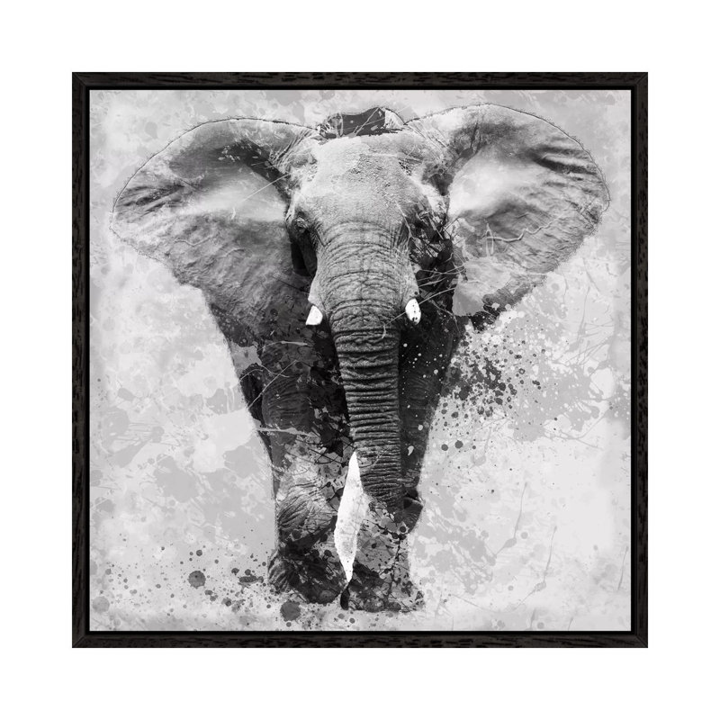 Proud Elephant by Carol Robinson - Print on Canvas, 45.72 cm H x 45.72 cm W, Black Framed Canvas