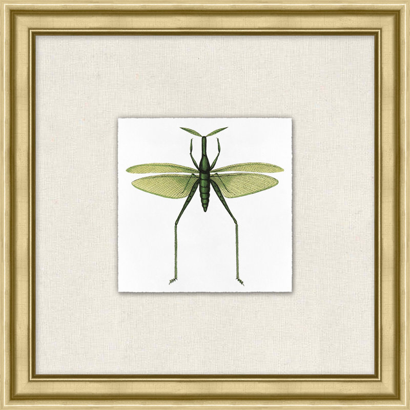 Flying Specimen 1 Print by Lillian August