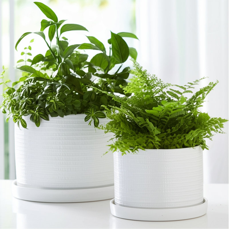 Handmade Ceramic Planter Set
